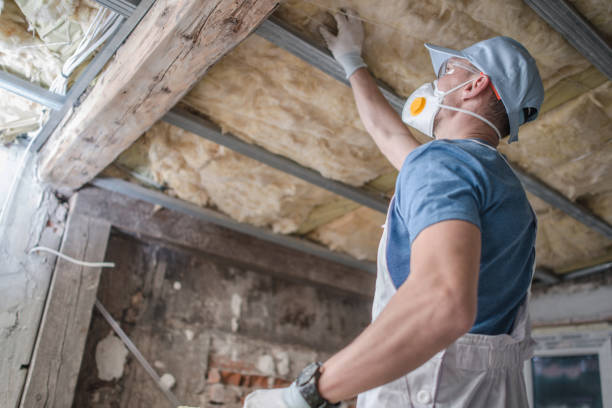 Best Specialty Insulation in Thousand Oaks, CA