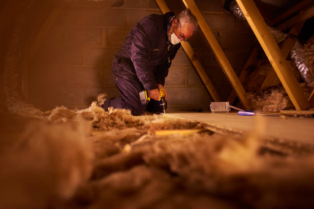 Best Insulation for Specific Applications in Thousand Oaks, CA